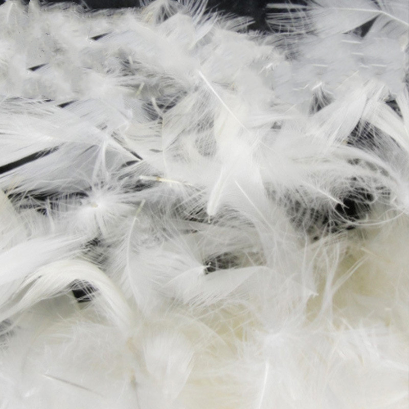 White Duck Feathers 6-8cm