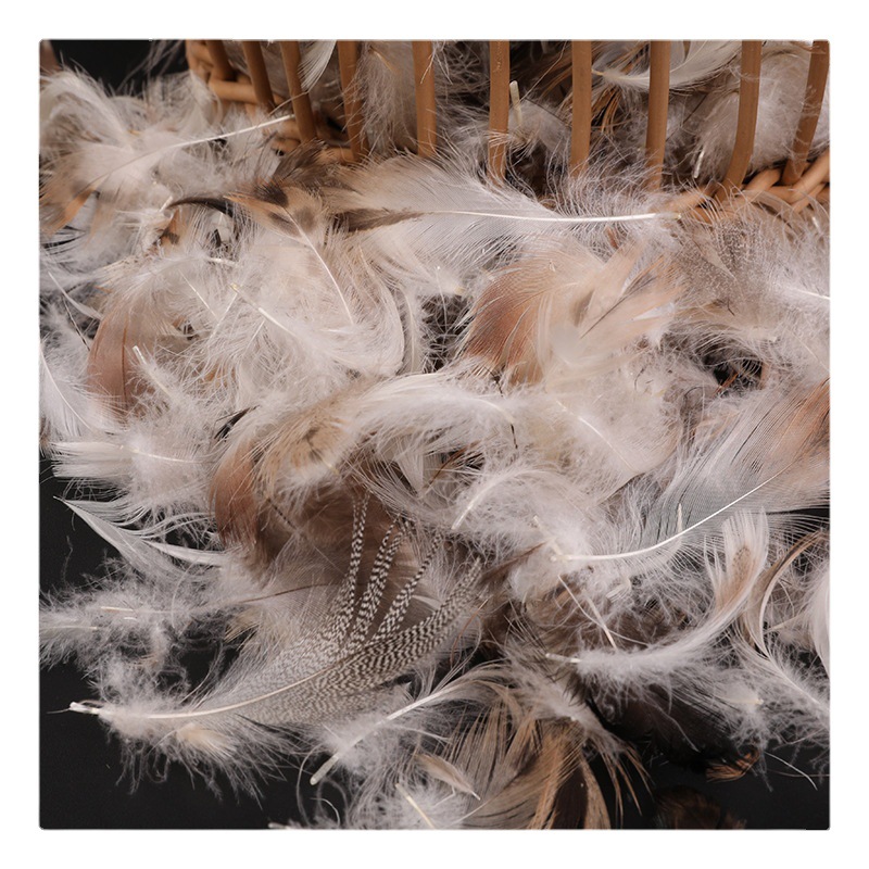 Grey Goose Feathers 6-8cm